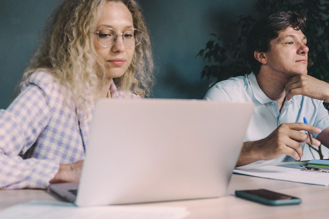 Two colleagues working remotely